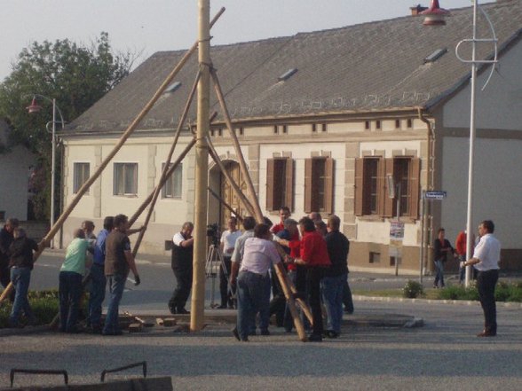 Maibaum aufstellen - 