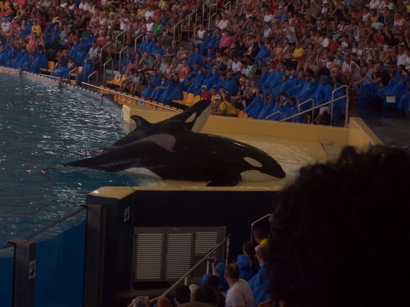 LorO ParQuE Teneriffa - 