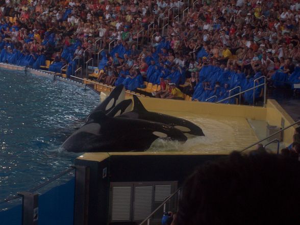 LorO ParQuE Teneriffa - 