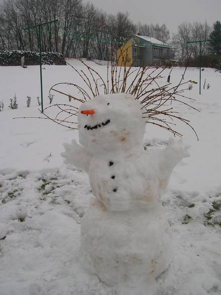 schneemann - 