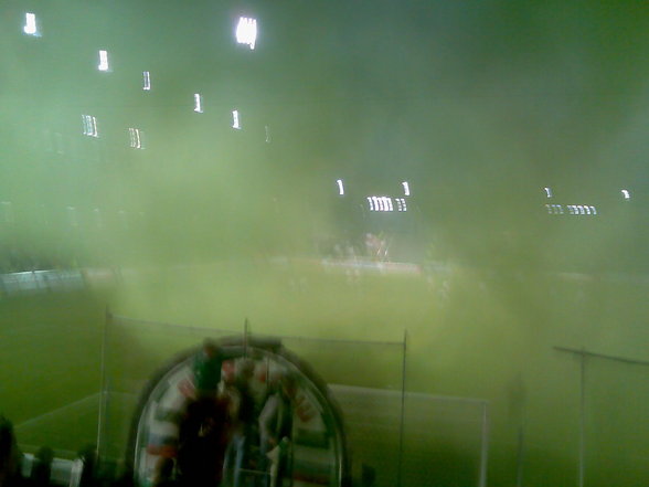 SK Rapid Wien - 