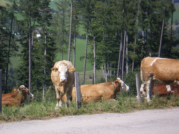 Wandertag zum Glasenberg - 