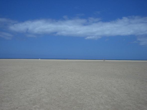 Fuerteventura - Costa Calma - Juni 2007 - 