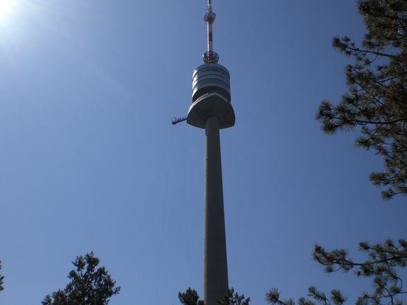 Wien-Bungee 14.06.2009 - 