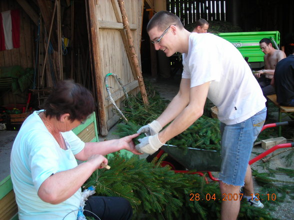 Maibaum 2007 - 