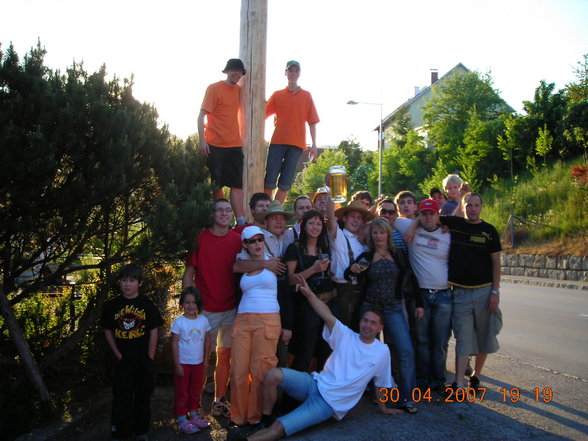 Maibaum 2007 - 