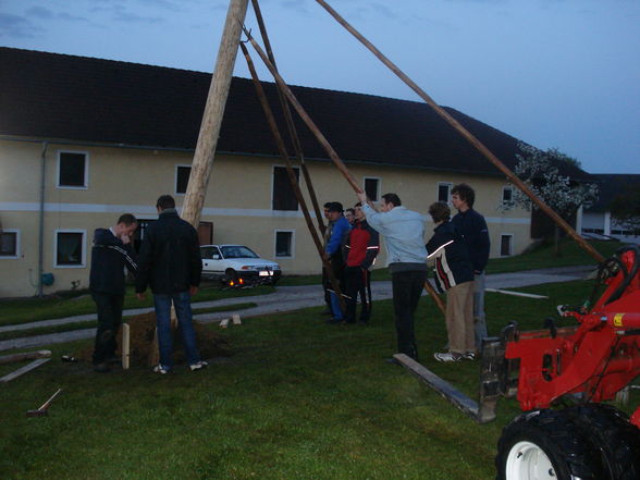 Maibaum 2008 - 