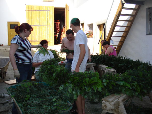 Maibaum 2008 - 