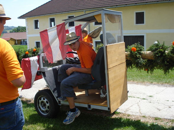 Maibaum 2008 - 