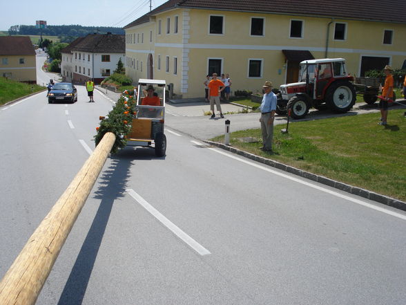 Maibaum 2008 - 