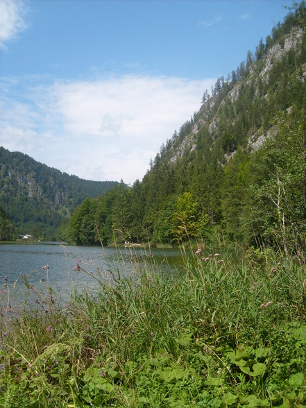 trip to almsee - 