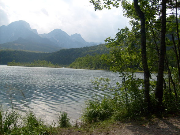 trip to almsee - 