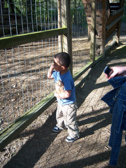 Tierpark Haag - 