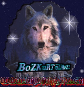 BOZKURT 4 ever - 