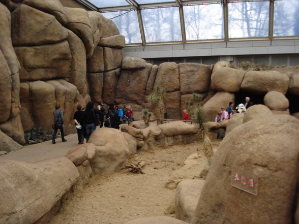 Zoo in Arnheim - 