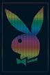 playboy - 