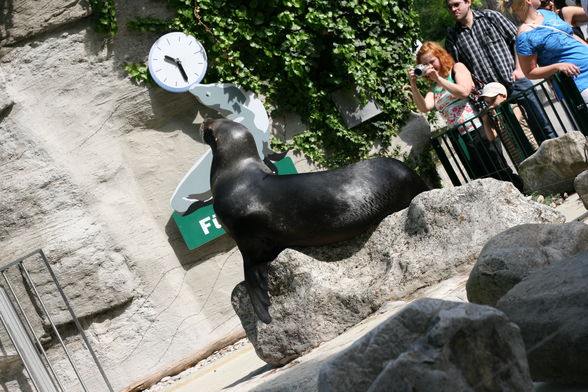 Tiergarten Schönbrunn - 