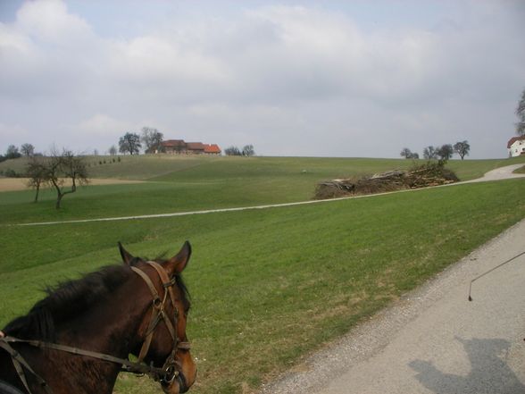 Kleiner Ausflug nach Wieselburg - 