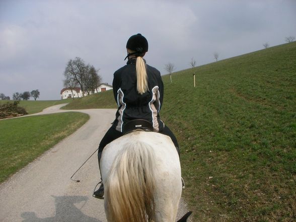 Kleiner Ausflug nach Wieselburg - 