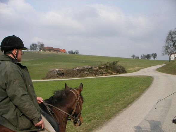 Kleiner Ausflug nach Wieselburg - 