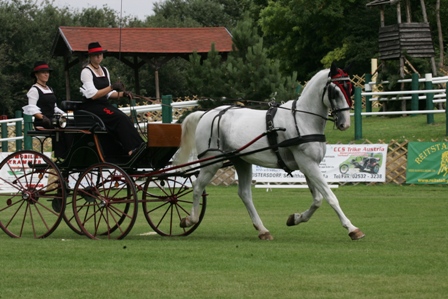 Turniere/Reiten - 