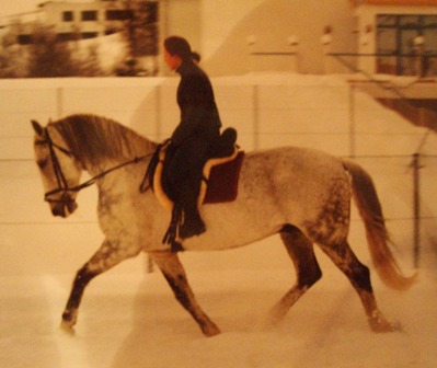 Turniere/Reiten - 