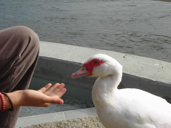 Taizé - 