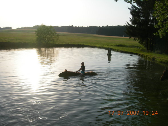 Urlaub in Rainbach - 