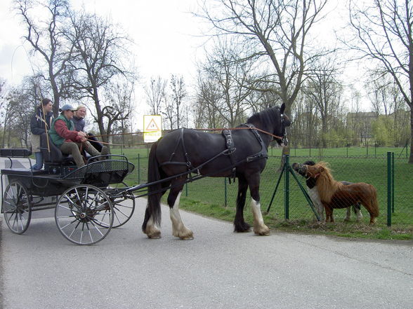 Besuch bei Iris und Romana - 