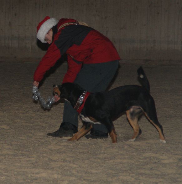 Weihnachtsreiten 08 - 