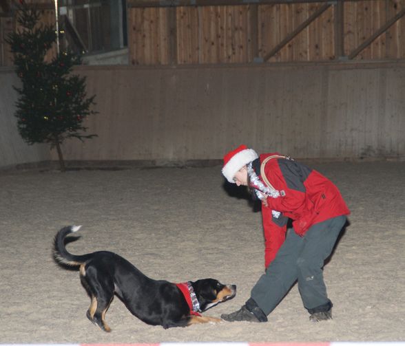 Weihnachtsreiten 08 - 