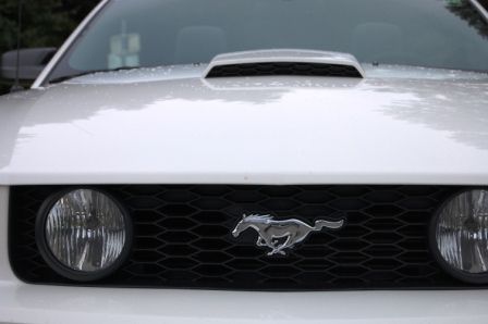 Ford Mustang fahren - 