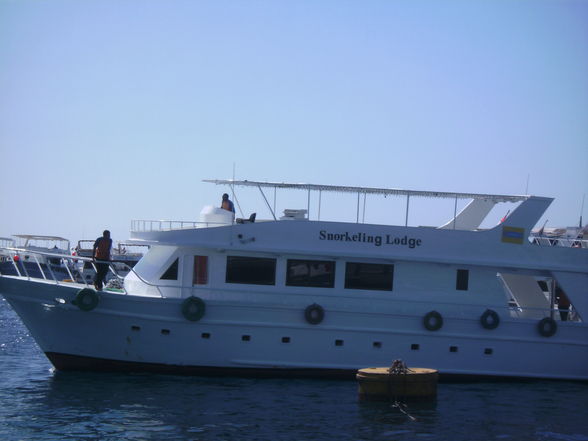 Sharm el Sheik Sommer 2008 - 