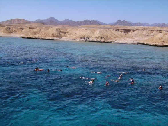 Sharm el Sheik Sommer 2008 - 