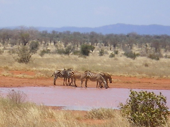 KENIA 2007 TEIL 1 - 