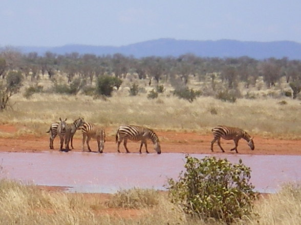 KENIA 2007 TEIL 1 - 