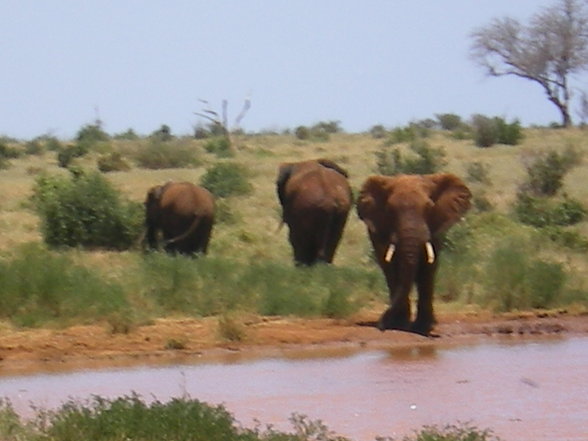 KENIA 2007 TEIL 1 - 