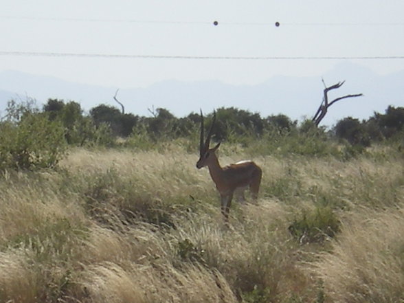 KENIA 2007 TEIL 1 - 