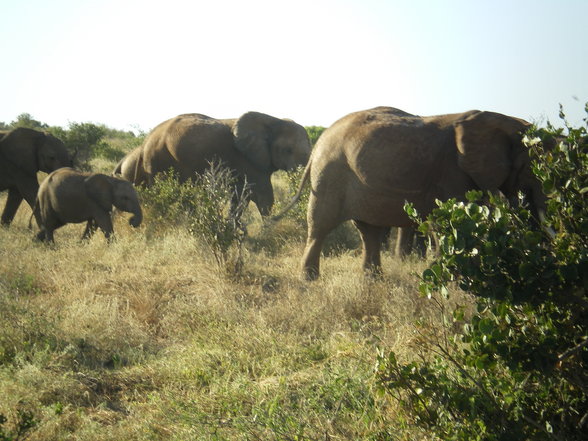 KENIA 2007 TEIL 1 - 