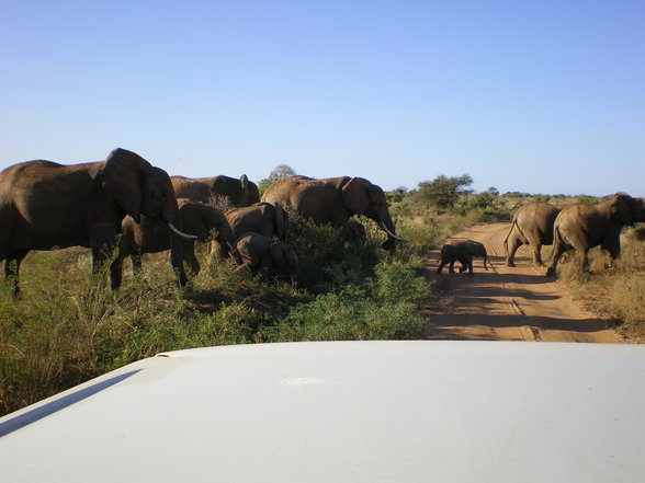 KENIA 2007 TEIL 1 - 