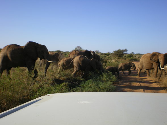 KENIA 2007 TEIL 1 - 