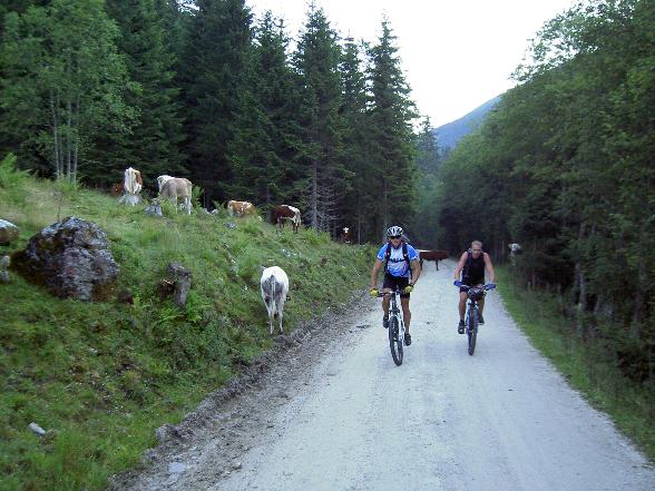 MTB-Lungauer Kalkspitze 15.07.2007 - 