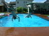 Poolparty - 