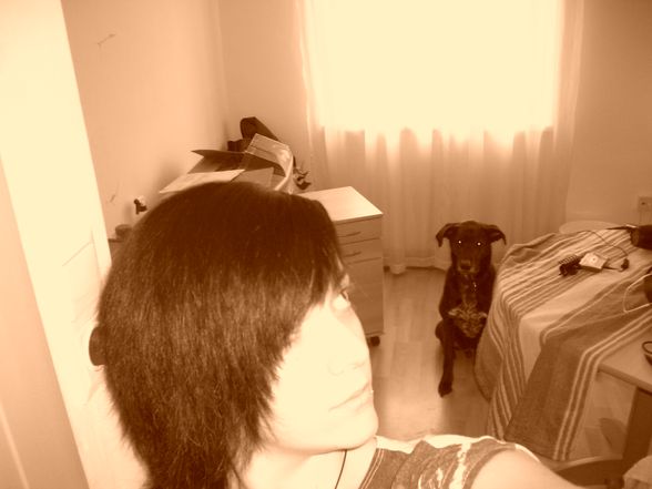 Me and meine Dogs - 