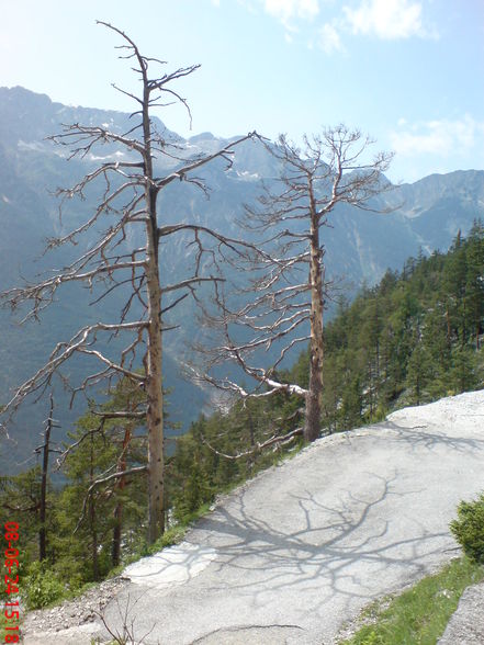 Eisriesenwelt 2008 Werfen - 