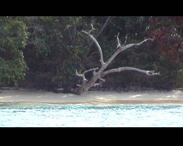 seychellen - 