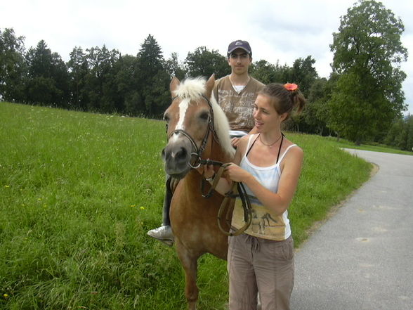 Tiergarten Walding - 