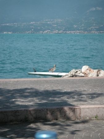 Lago Di Garda 2008 - 