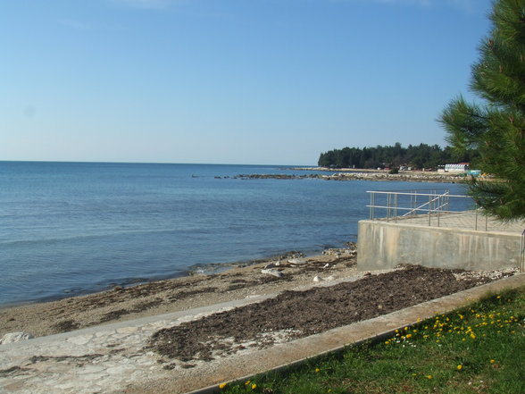 UMAG 2007 - 