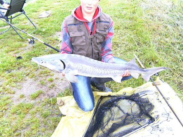 fisch'n fun - 